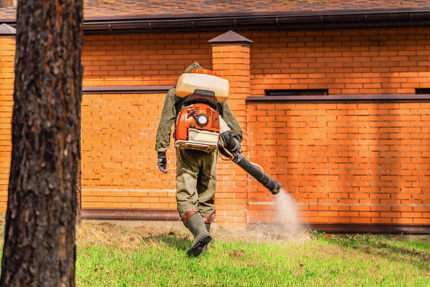 Trusted Mosquito Control service in Sierra Vista Southeast, AZ - Nex Pest Control